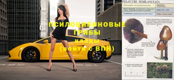 ГАЛЛЮЦИНОГЕННЫЕ ГРИБЫ Алексин