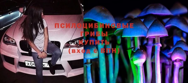 ГАЛЛЮЦИНОГЕННЫЕ ГРИБЫ Алексин