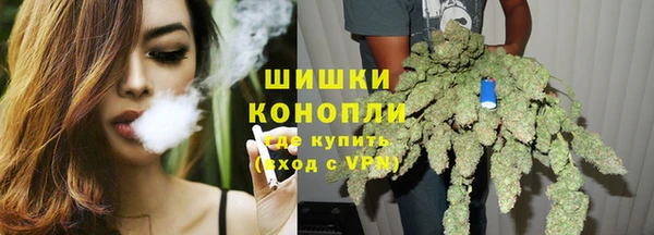 ГАЛЛЮЦИНОГЕННЫЕ ГРИБЫ Алексин
